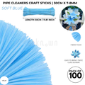 Premium Pipe Cleaner Sticks 100 Pcs | Velvet Pipe (Chenille Stems) for DIY Crafts, Handmade Flowers, School Art & Bouquet Making