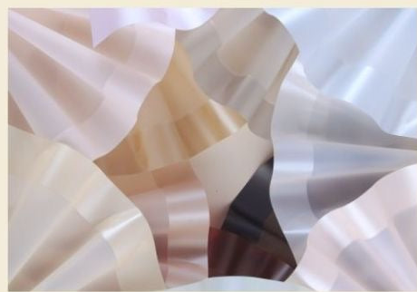 Luxury Pearl Edge Bouquet Wrapping Paper – Premium Matte Translucent Floral Wrapping Sheets for Fresh Flower Bouquets | Pack of 5 Sheets